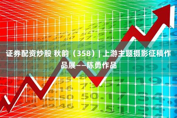 证券配资炒股 秋韵（358）| 上游主题摄影征稿作品展——陈勇作品